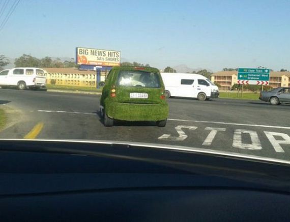 funny-pictures-762