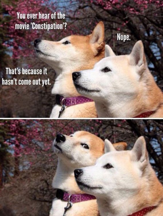 funny-pictures-762