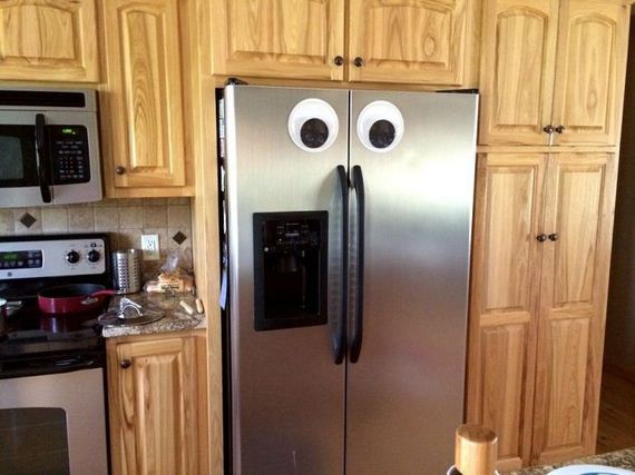 funny-pictures-764