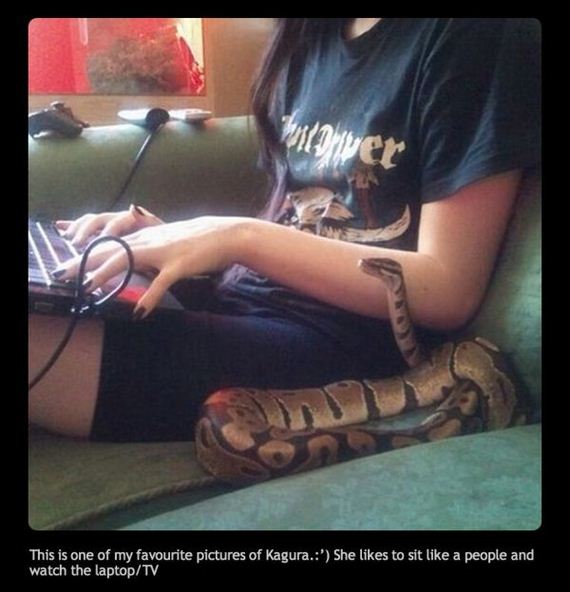 funny-pictures-764