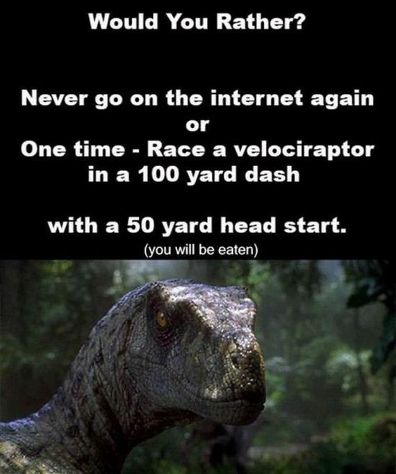 funny-pictures-767
