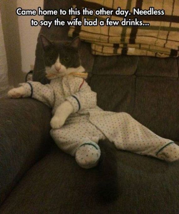 funny-pictures-767