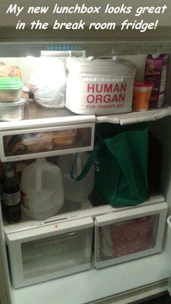 funny-pictures-767