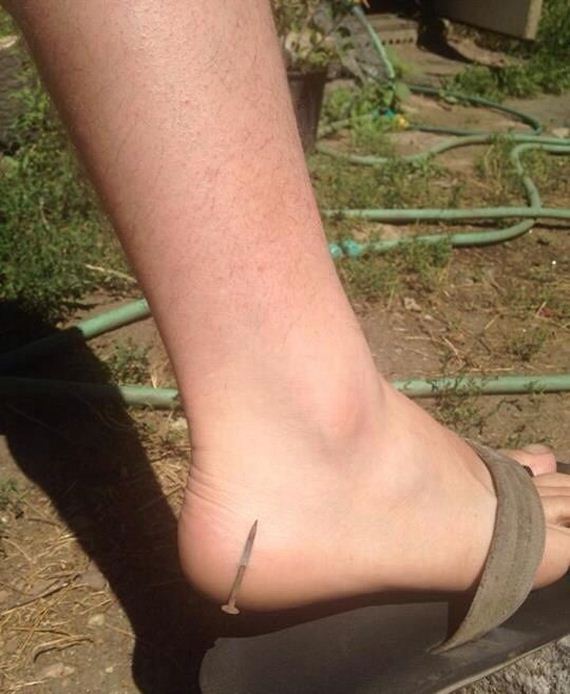 funny-pictures-769