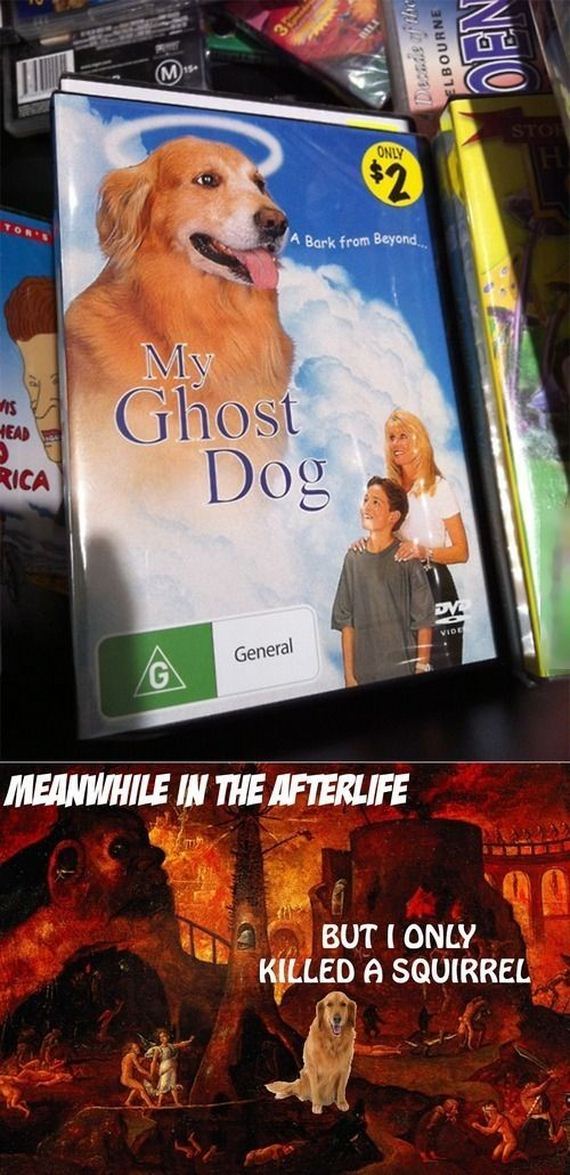 funny-pictures-769