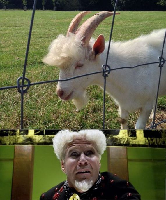 funny-pictures-769