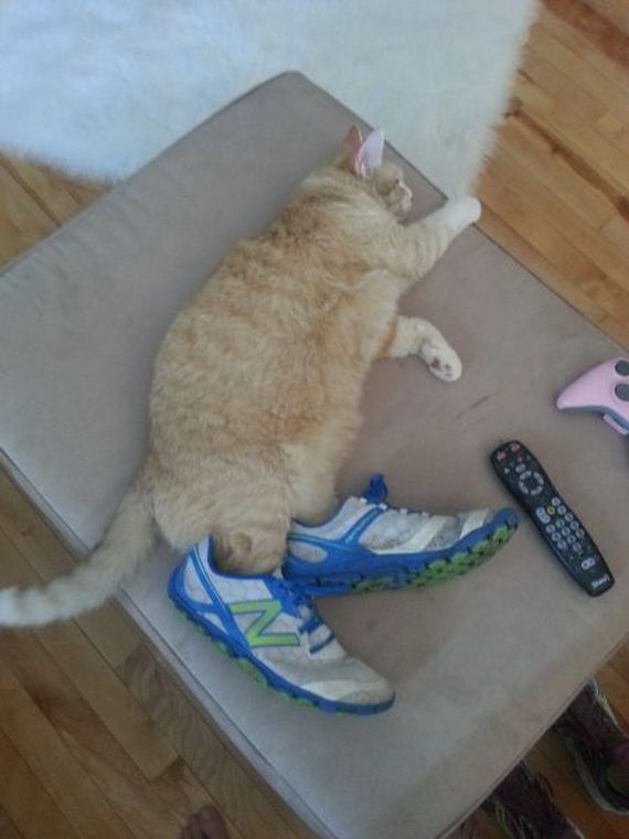 funny-pictures-769