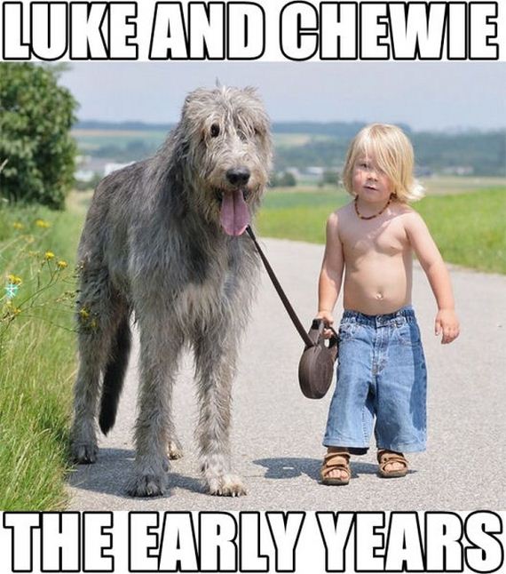 funny-pictures-771