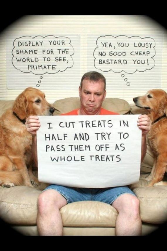 funny-pictures-771