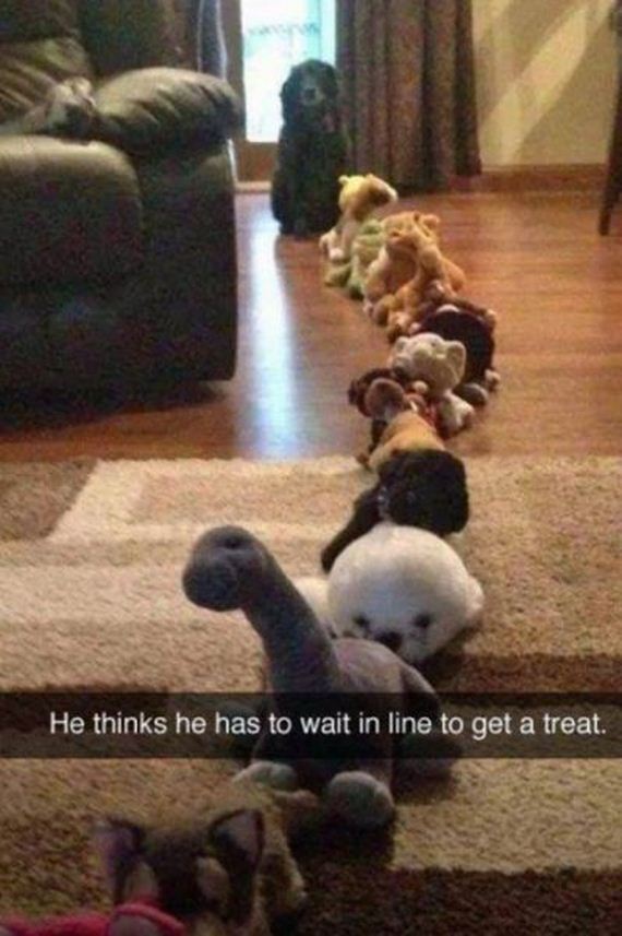 funny-pictures-771