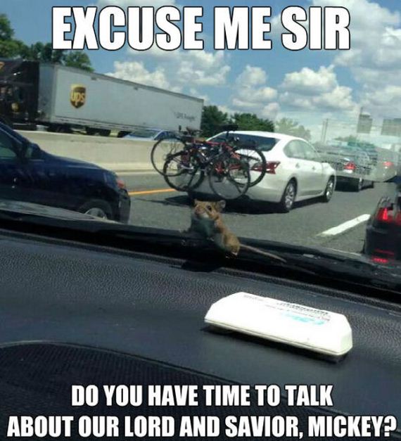 funny-pictures-771