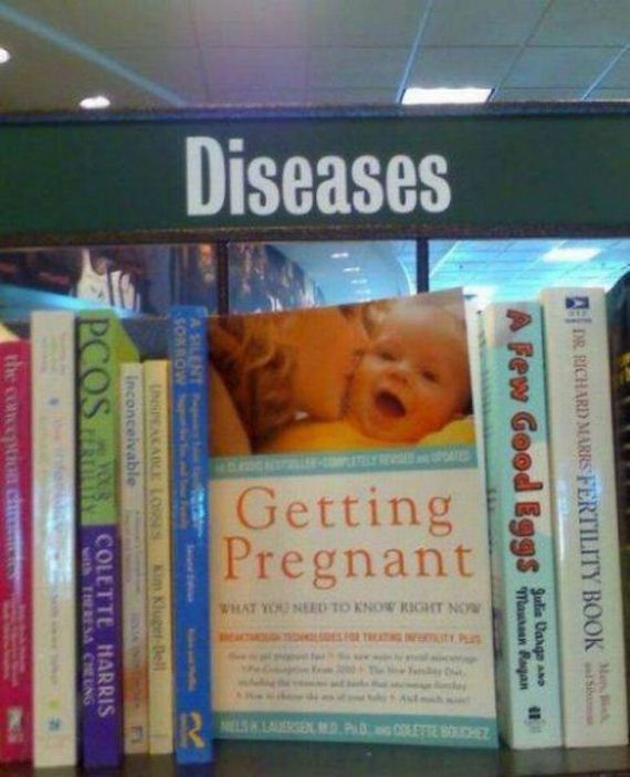 funny-pictures-772