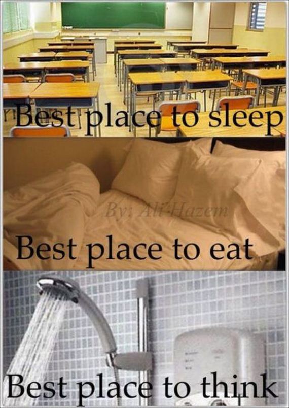 funny-pictures-772