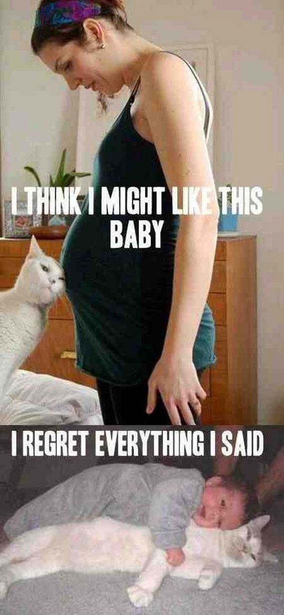 funny-pictures-772