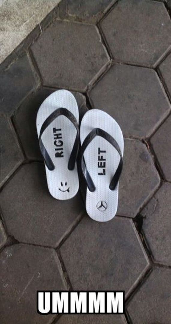 funny-pictures-772