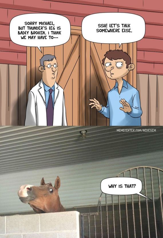 funny-pictures-772