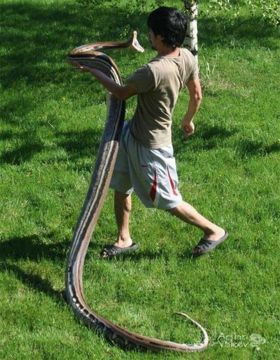 funny-pictures-773