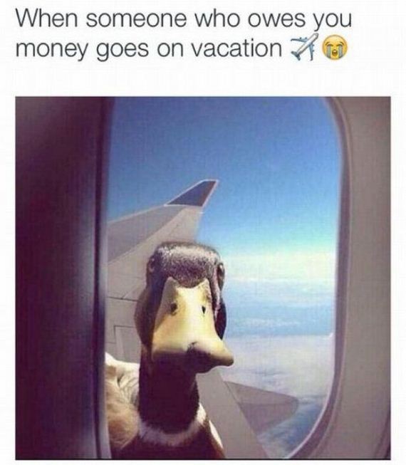 funny-pictures-773