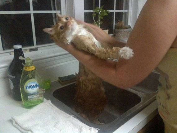 funny-pictures-773