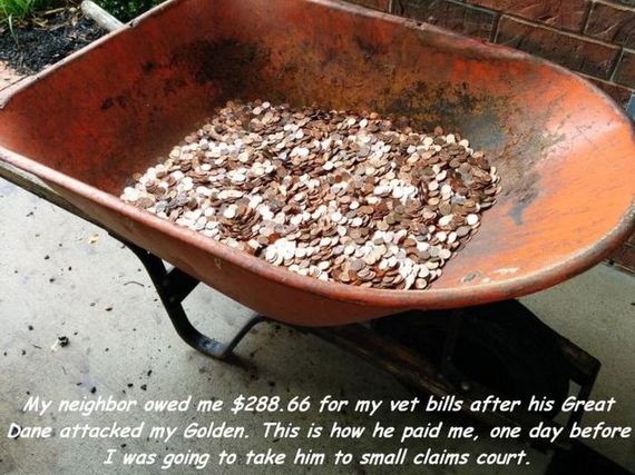funny-pictures-773