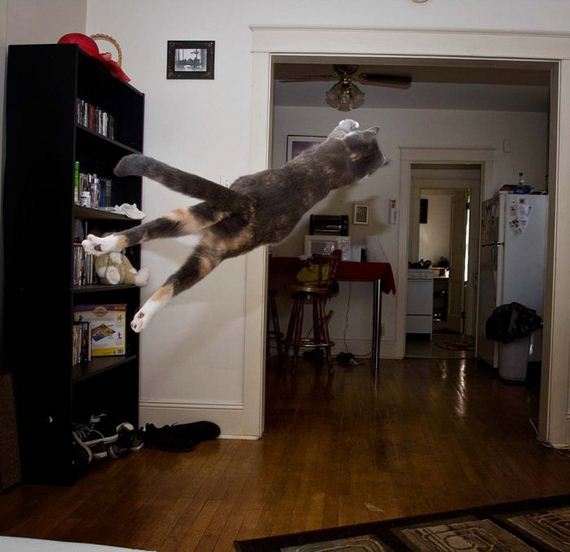 funny-pictures-773