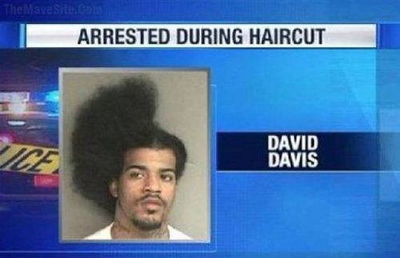 funny-pictures-773