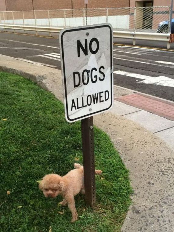 funny-pictures-773