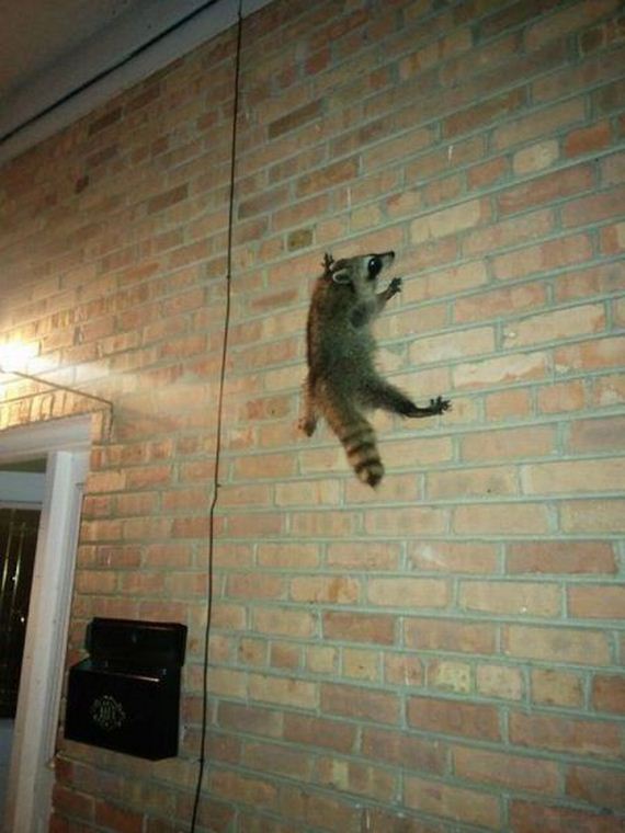 funny-pictures-773