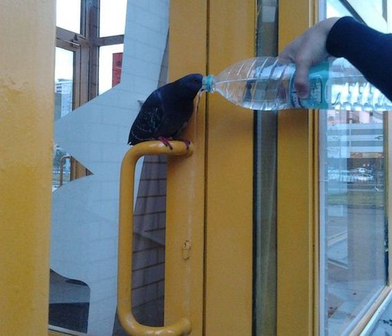 funny-pictures-774