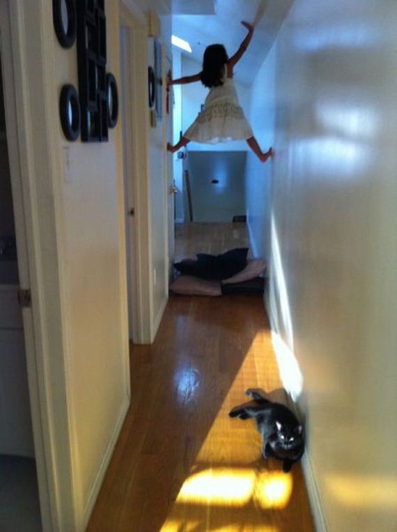 funny-pictures-774