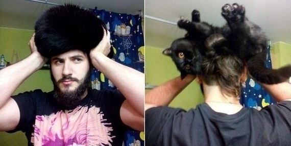 funny-pictures-775