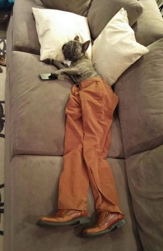 funny-pictures-776