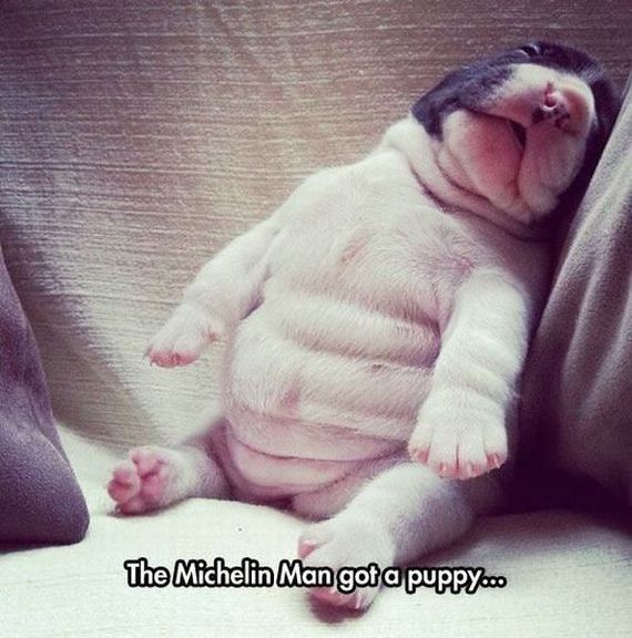 funny-pictures-776