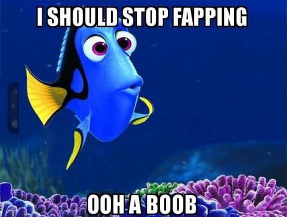 funny-pictures-777