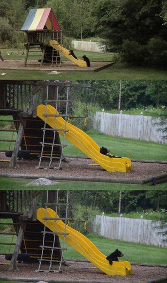 funny-pictures-777