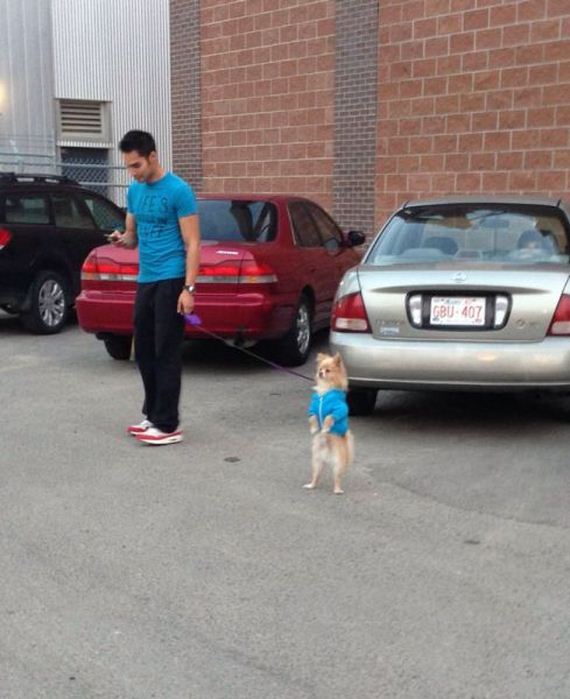 funny-pictures-777