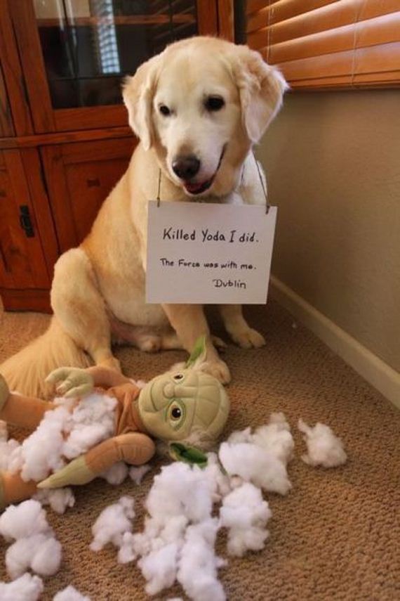 funny-pictures-777
