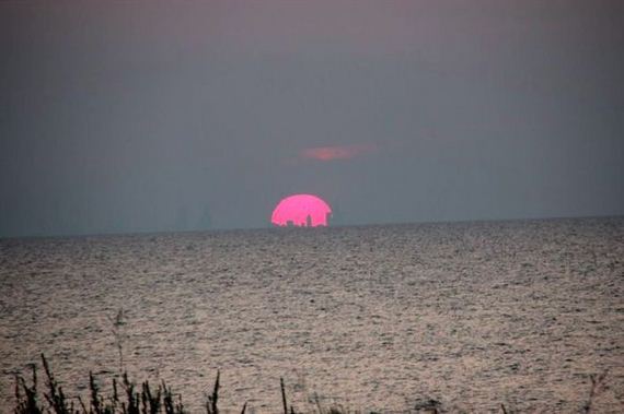funny-pictures-779