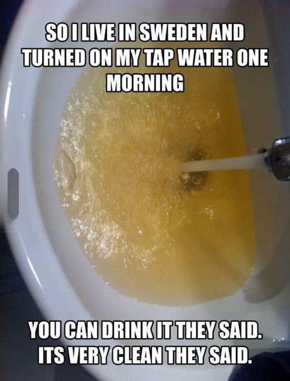 funny-pictures-779