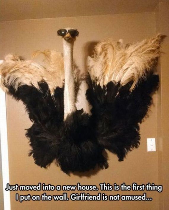 funny-pictures-779