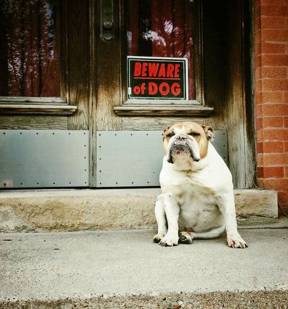 funny-pictures-779
