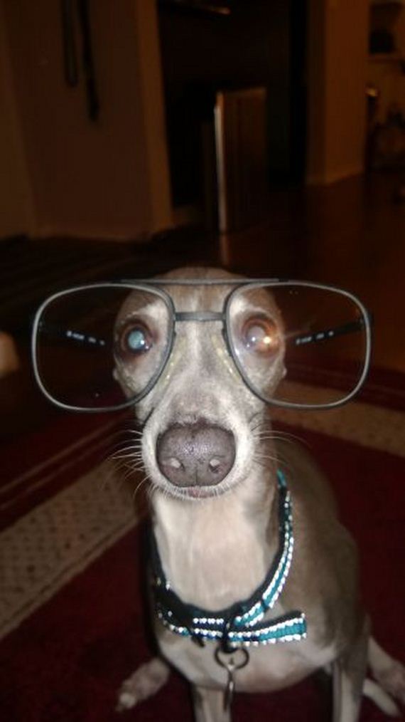 funny-pictures-779