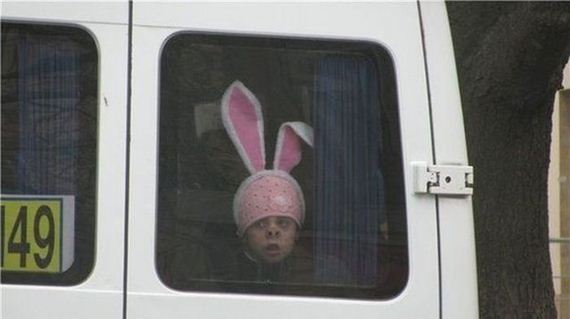 funny-pictures-780