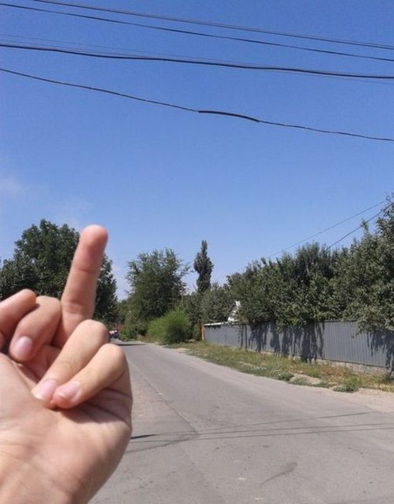 funny-pictures-780