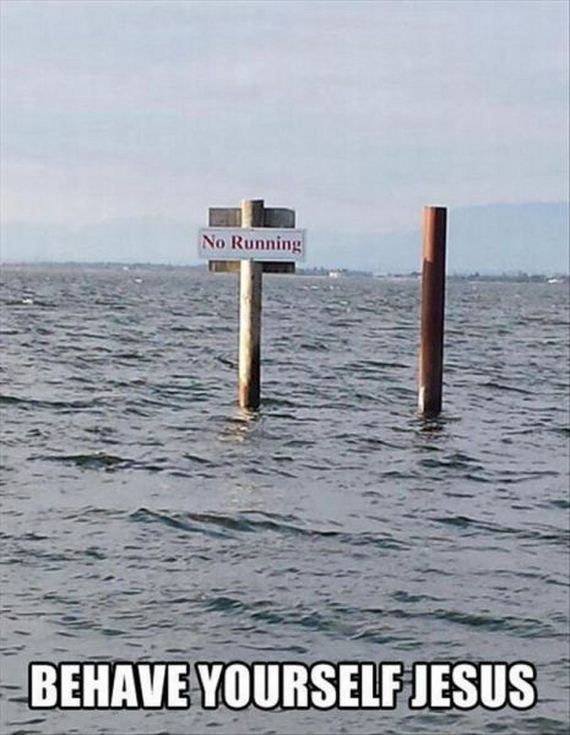 funny-pictures-781