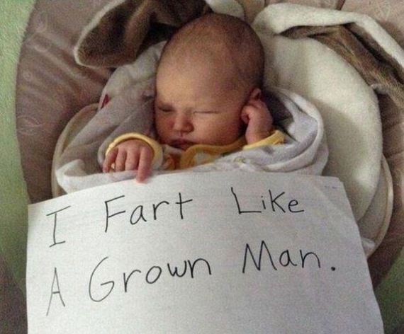 funny-pictures-781