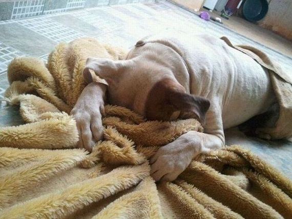 funny-pictures-782