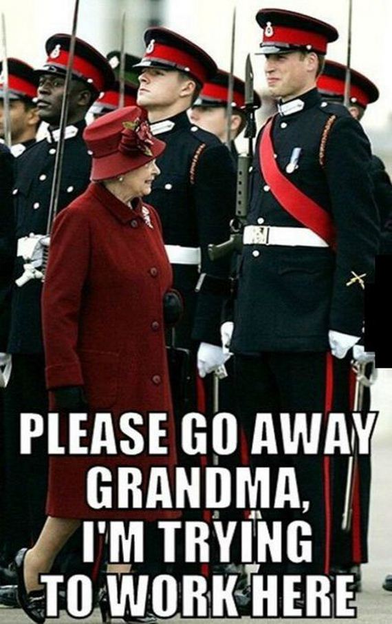 funny-pictures-782