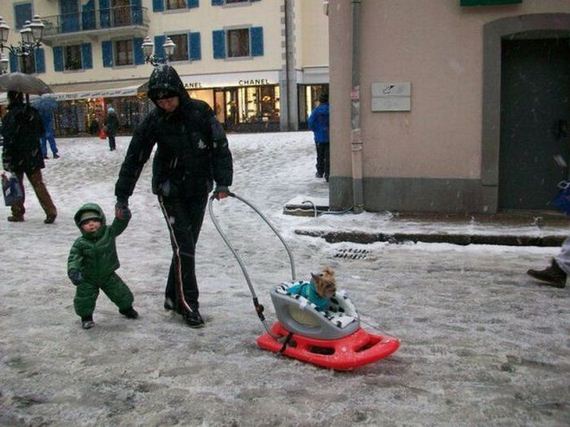 funny-pictures-782