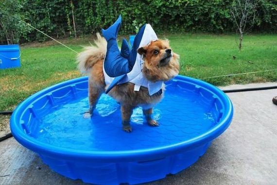 funny-pictures-782